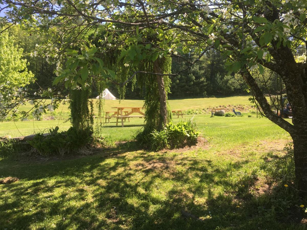 Craftsbury Farmhouse ภายนอก รูปภาพ